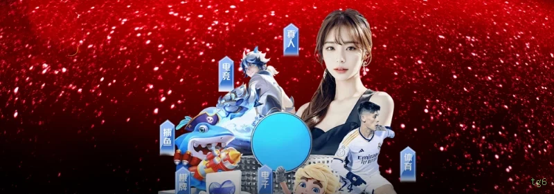 Verificação KYC tg6